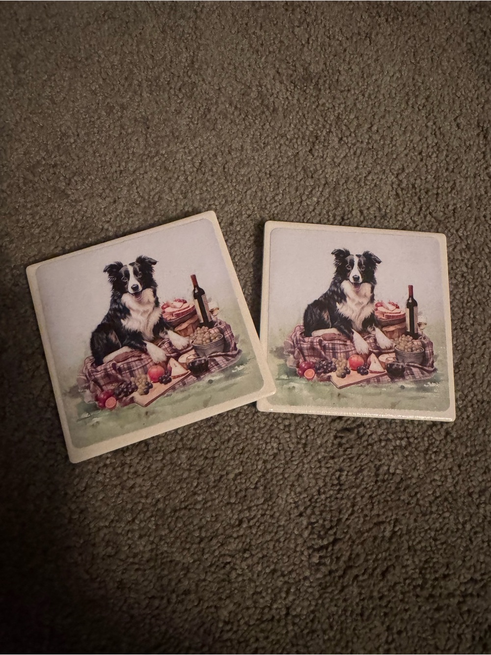 Border Collie Picnic Ceramic Coaster Pair - Neutral Tones